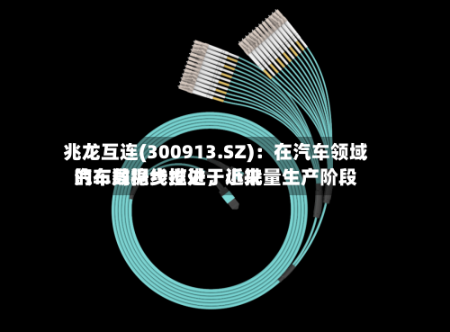 兆龙互连(300913.SZ)：在汽车领域的布局稳步推进，近来汽车数据线缆处于小批量生产阶段