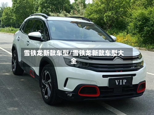 雪铁龙新款车型/雪铁龙新款车型大全-第2张图片