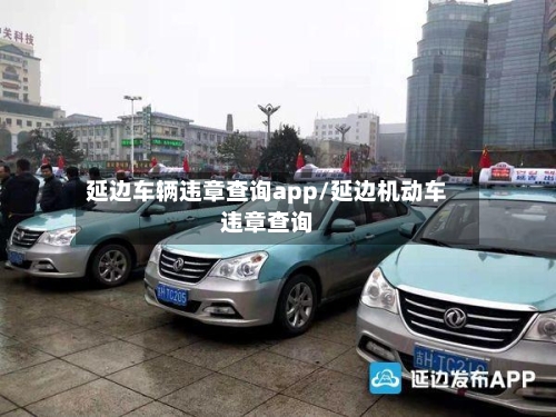 延边车辆违章查询app/延边机动车违章查询