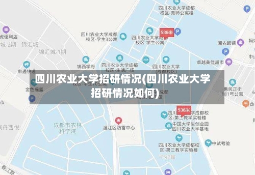 四川农业大学招研情况(四川农业大学招研情况如何)