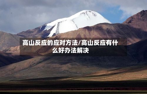高山反应的应对方法/高山反应有什么好办法解决