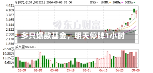 多只爆款基金	，明天停牌1小时-第2张图片