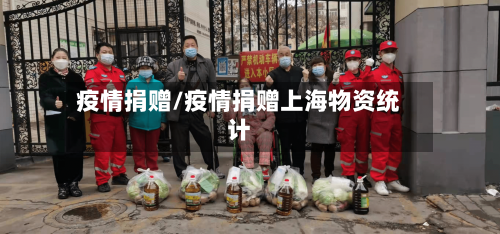 疫情捐赠/疫情捐赠上海物资统计