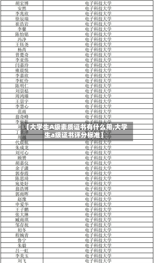 【大学生A级素质证书有什么用,大学生a级证书评分标准】-第3张图片