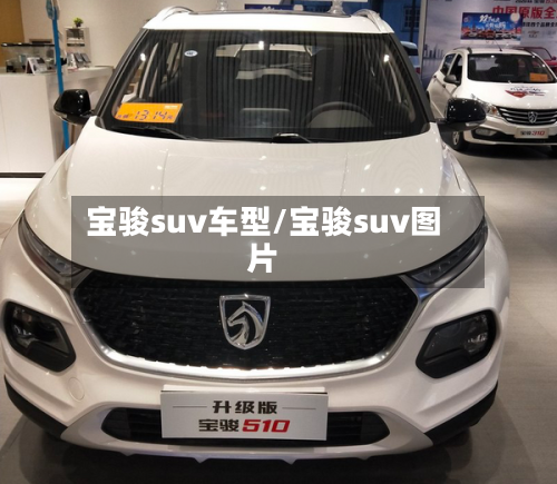 宝骏suv车型/宝骏suv图片-第3张图片