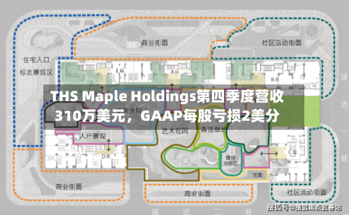 THS Maple Holdings第四季度营收310万美元	，GAAP每股亏损2美分-第3张图片