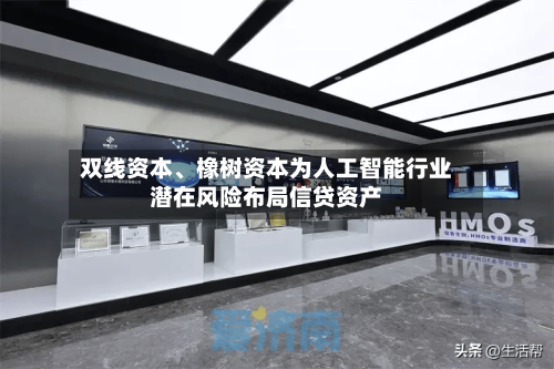 双线资本、橡树资本为人工智能行业潜在风险布局信贷资产-第2张图片