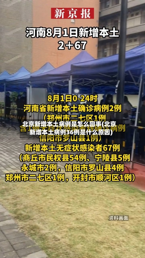 北京新增本土病例是怎么回事(北京新增本土病例36例是什么原因)-第2张图片
