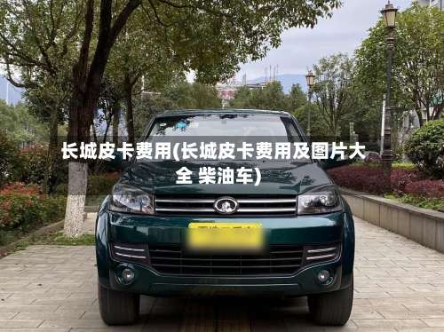 长城皮卡费用(长城皮卡费用及图片大全 柴油车)