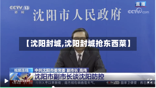 【沈阳封城,沈阳封城抢东西菜】