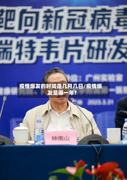 疫情爆发的时间是几月几日/疫情爆发是哪一年?-第3张图片