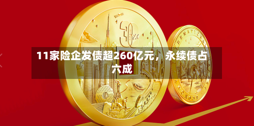 11家险企发债超260亿元，永续债占六成-第2张图片