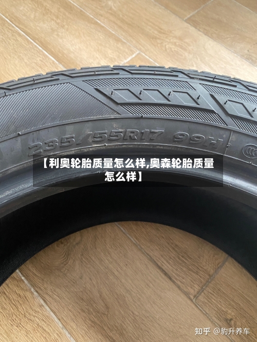 【利奥轮胎质量怎么样,奥森轮胎质量怎么样】-第2张图片