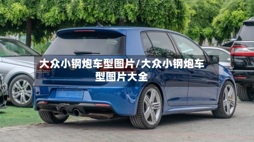 大众小钢炮车型图片/大众小钢炮车型图片大全-第2张图片