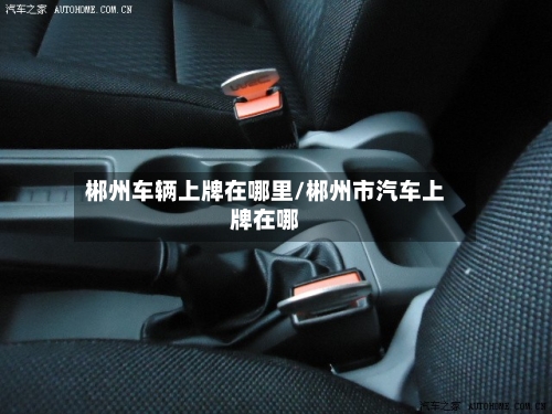 郴州车辆上牌在哪里/郴州市汽车上牌在哪-第2张图片