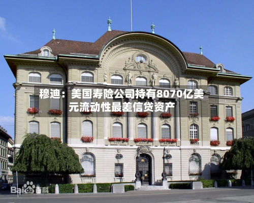 穆迪：美国寿险公司持有8070亿美元流动性最差信贷资产-第2张图片